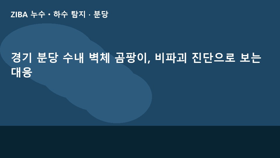 경기 분당 수내 벽체 곰팡이, 비파괴 진단으로 보는 대응