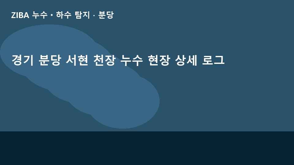 경기 분당 서현 천장 누수 현장 상세 로그